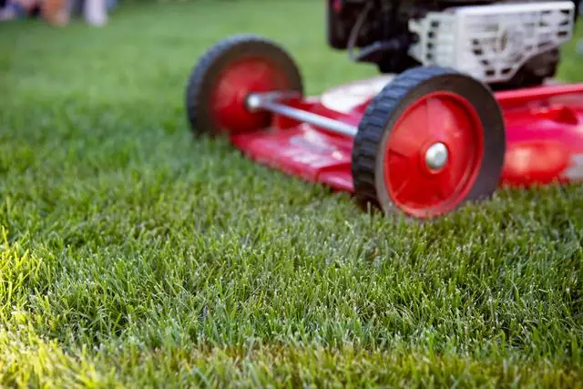 Kekkilä Nurmikon Sammalsyöjä 5 kg - Lannoitteet - 6433000610414 - 1