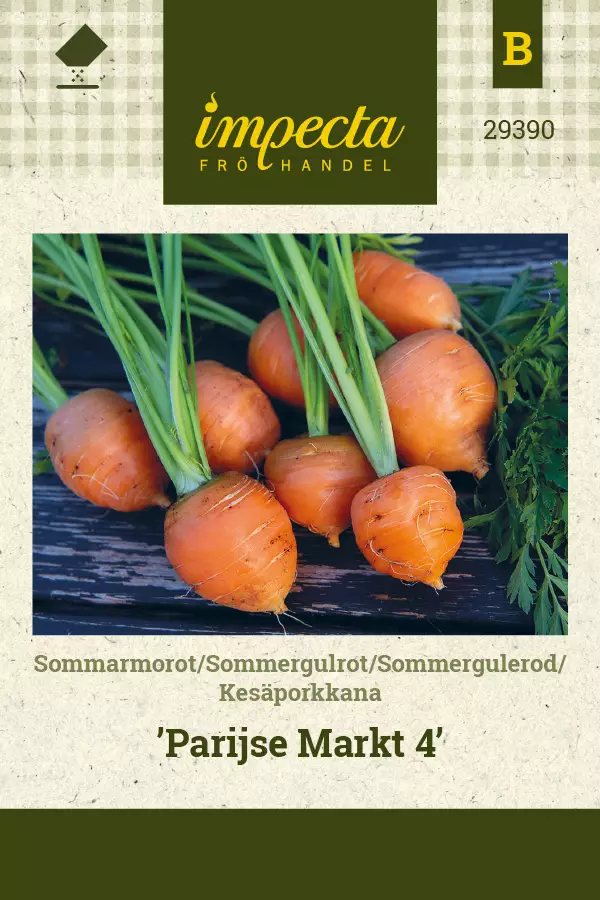 Kesäporkkana 'Parijse Markt 4', siemen, Impecta - Vihannesten siemenet - 7332756293904 - 1