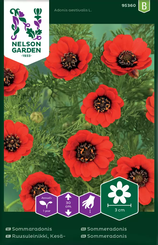 Kesäruusuleinikki siemen, Nelson Garden - Kukkien siemenet - 7312600953604 - 1