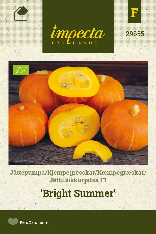 Kurpitsa 'Bright Summer' F1, siemen, Impecta - Vihannesten siemenet - 7332756296554 - 1