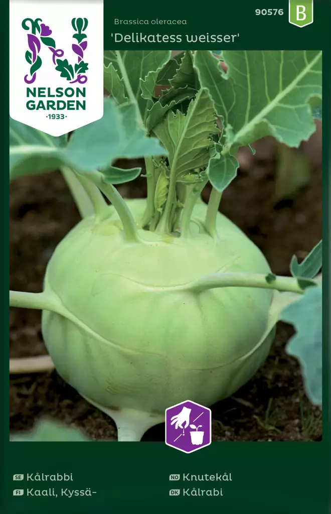 Kyssäkaali 'Delikatess Weisser' siemen, Nelson Garden - Vihannesten siemenet - 7312600905764 - 1