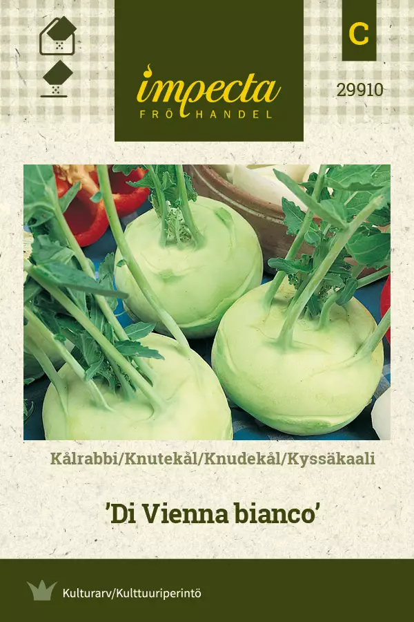 Kyssäkaali 'Di Vienna bianco' siemen, Impecta - Vihannesten siemenet - 7332756299104 - 1