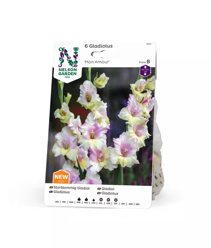 Miekkalilja 'Mon Amour', Nelson Garden - Kukkasipulit - 7312600728554 - 1