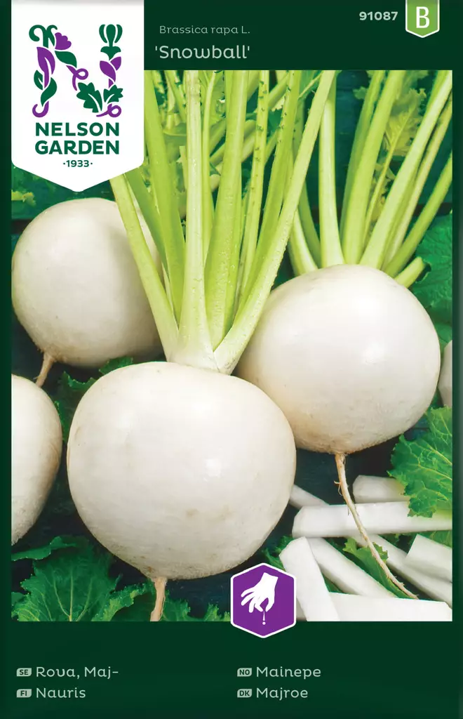 Nauris 'Snowball' siemen, Nelson Garden - Vihannesten siemenet - 7312600910874 - 1