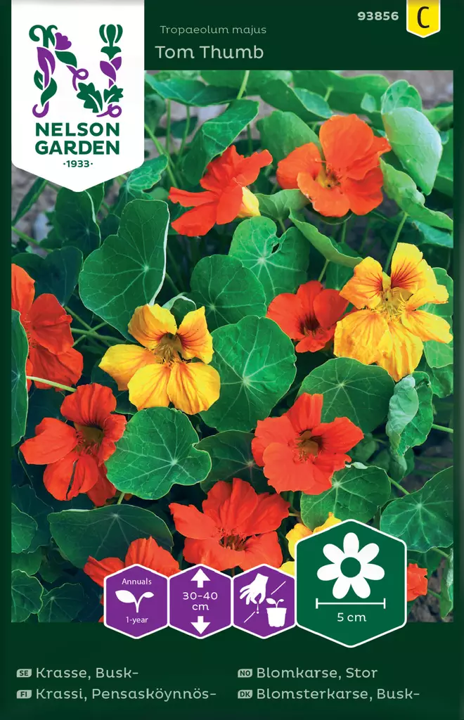 Pensasköynnöskrassi 'Tom Thumb' väriseos, siemen, Nelson Garden - Kukkien siemenet - 7312600938564 - 1