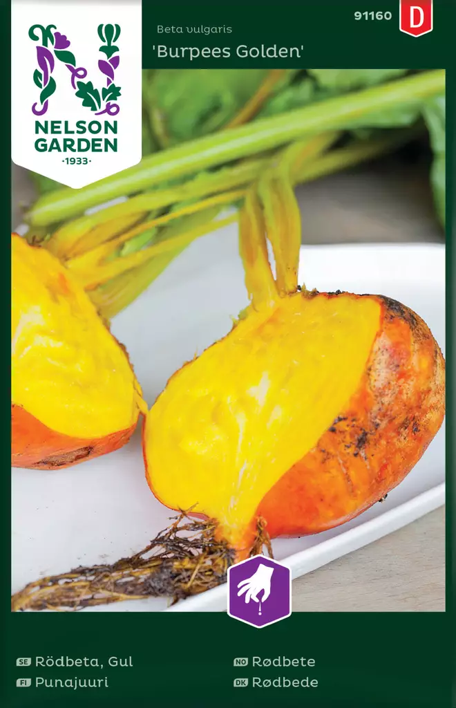 Punajuuri 'Burpees Golden' siemen, Nelson Garden - Vihannesten siemenet - 7312600911604 - 1