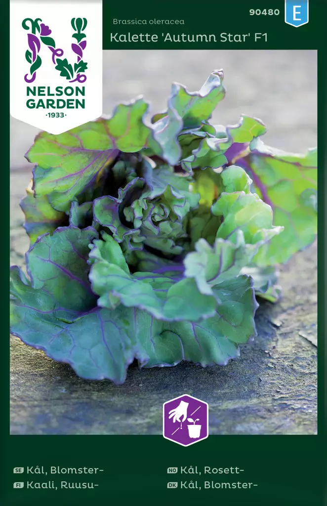 Ruusukaali 'Autumn Star' siemen, Nelson Garden - Vihannesten siemenet - 7312600904804 - 1