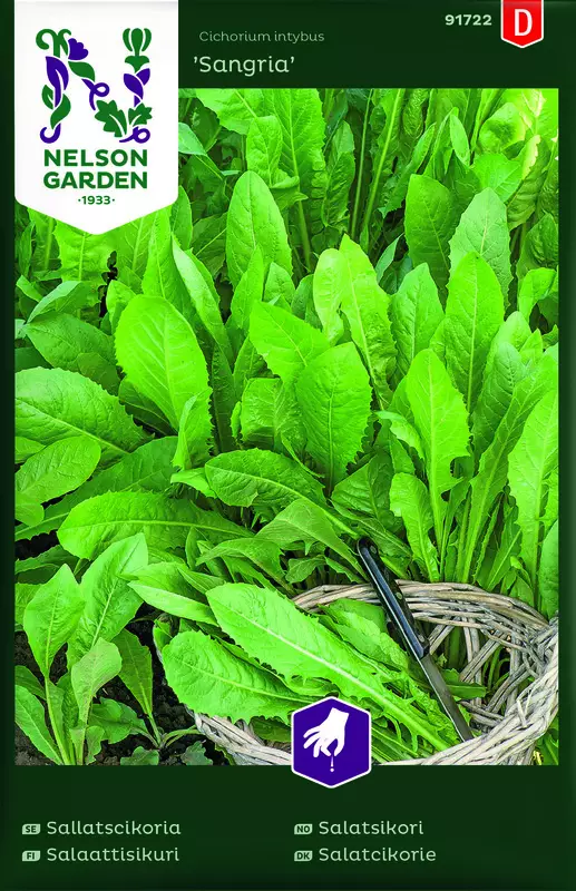 Salaattisikuri 'Sangria' siemen, Nelson Garden - Vihannesten siemenet - 7312600917224 - 1