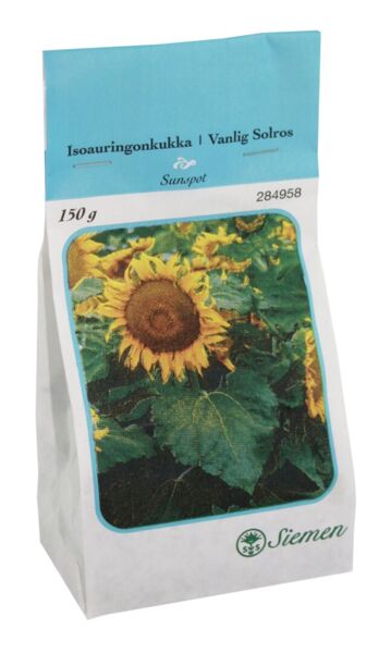 Siemen Isoauringonkukka 150 g (150 m2) - Annossiemenet - 6415152849584 - 1