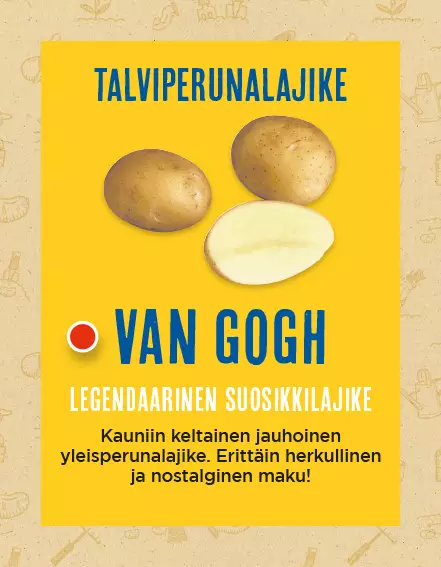 Siemenperuna Van Gogh 5 kg - Kesäperunat/syysperunat - 6420617361174 - 1