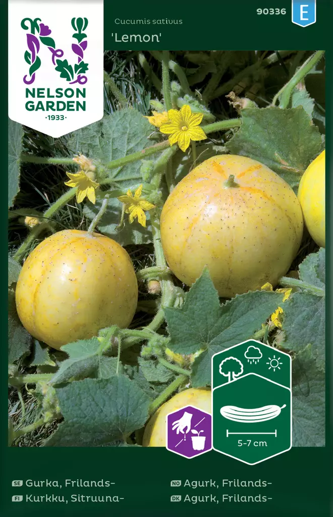 Sitruunakurkku 'Lemon' siemen, Nelson Garden - Vihannesten siemenet - 7312600903364 - 1