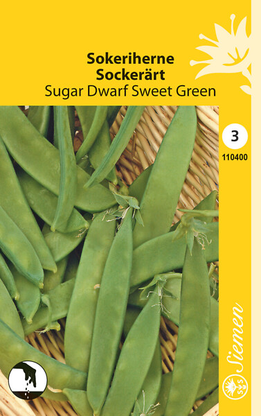 Sokeriherne 'Sugar Dwarf Sweet Green', siemen, Schetelig - Annossiemenet - 6415151104004 - 1