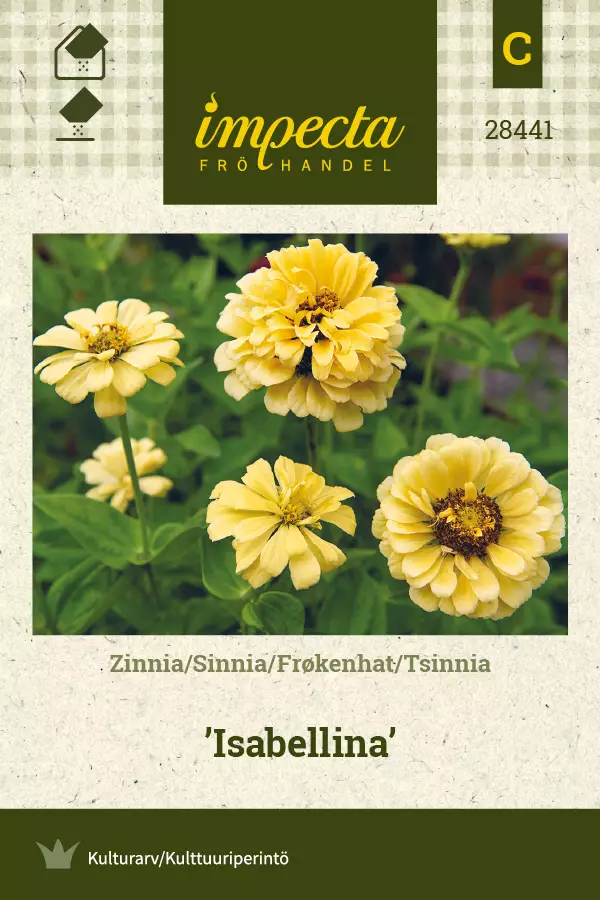 Tsinnia 'Isabellina', siemen, Impecta - Annossiemenet - 7332756284414 - 1