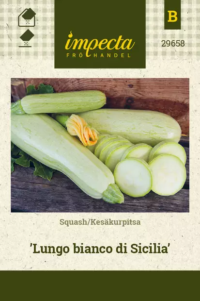 Kesäkurpitsa 'Lungo bianco di Sicilia', siemen, Impecta - Vihannesten siemenet - 7332756296585 - 1