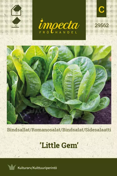Sidesalaatti 'Little Gem', siemen, Impecta - Vihannesten siemenet - 7332756295625 - 1
