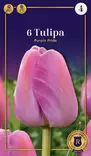 Darwinhybriditulppaani 'Purple Pride' 6 kpl - Kukkasipulit - 8711148302865 - 1