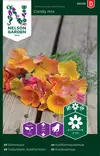 Kaliforniantuliunikko 'Candy mix' siemen, Nelson Garden - Kukkien siemenet - 7312600955585 - 1