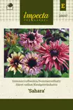 Kesäpäivänhattu 'Sahara', siemen, Impecta - Annossiemenet - 7332756286975 - 1