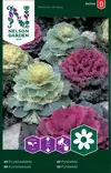 Koristekaali, väriseos, siemen, Nelson Garden - Kukkien siemenet - 7312600947405 - 1