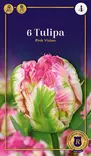 Papukaijatulppaani 'Pink Vision' 6 kpl - Syyssipulit - 8711148235255 - 1