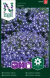 Riippalobelia 'Saphir' siemen, Nelson Garden - Kukkien siemenet - 7312600939745 - 1