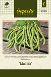 Salkopapu 'Matilda', siemen - Vihannesten siemenet - 7332756290675 - 1