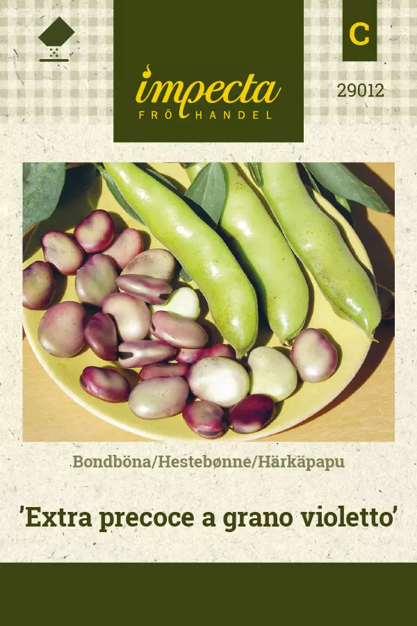 Härkäpapu 'Extra precoce a grano violetto', siemen, Impecta - Vihannesten siemenet - 7332756290125 - 1