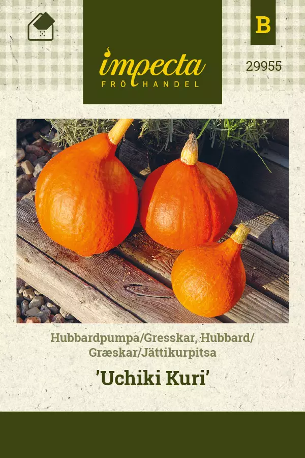 Jättikurpitsa 'Uchiki Kuri', siemen - Vihannesten siemenet - 7332756299555 - 1