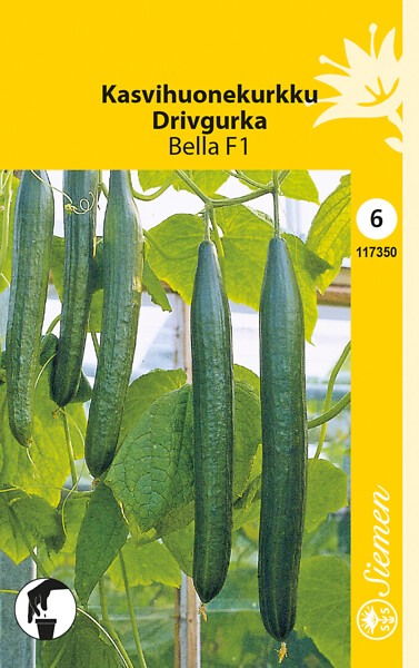 Kasvihuonekurkku 'Bella F1', siemen, Schetelig - Annossiemenet - 6415151173505 - 1