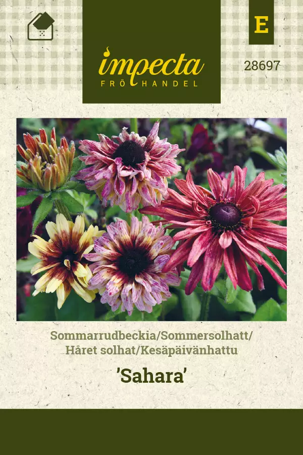 Kesäpäivänhattu 'Sahara', siemen, Impecta - Annossiemenet - 7332756286975 - 1