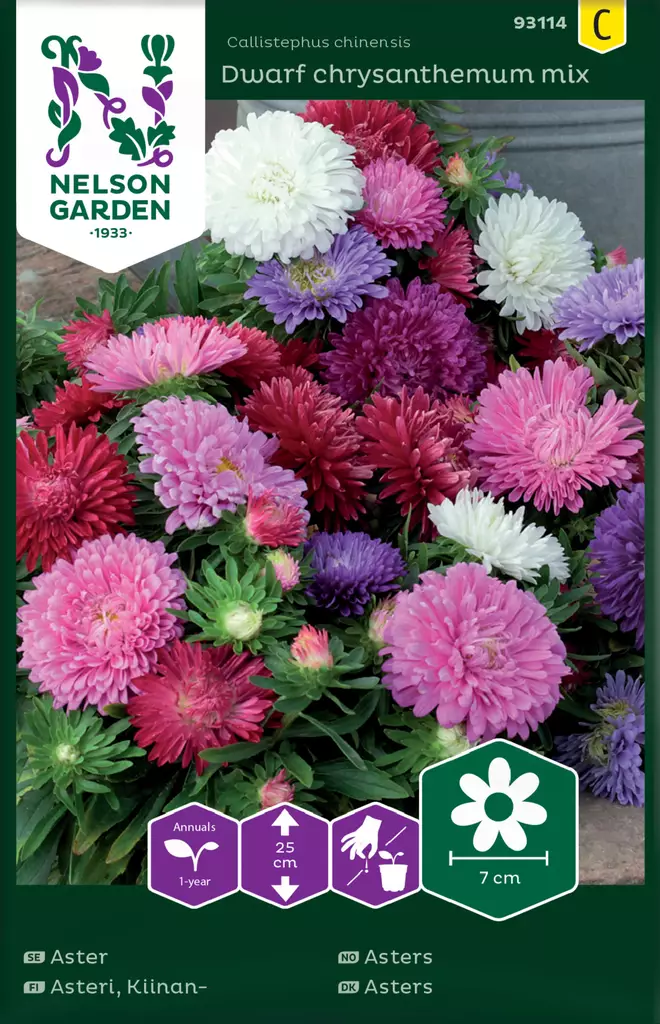 Kiinanasteri 'Dwarf Chrysanthemum' siemenseos, Nelson Garden - Kukkien siemenet - 7312600931145 - 1