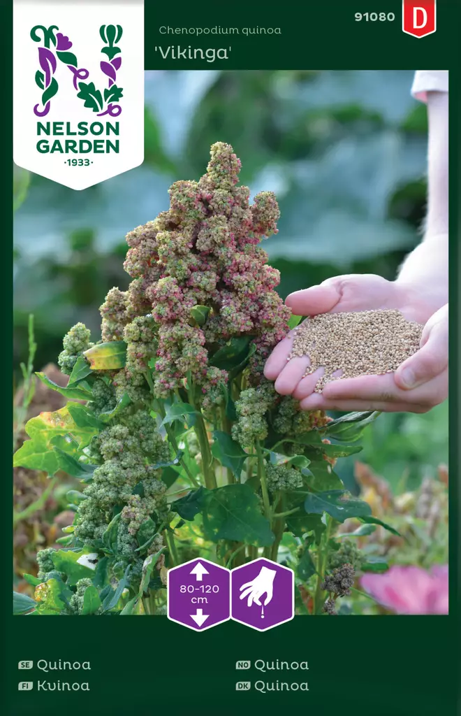 Kvinoa 'Vikinga' siemen, Nelson Garden - Vihannesten siemenet - 7312600910805 - 1
