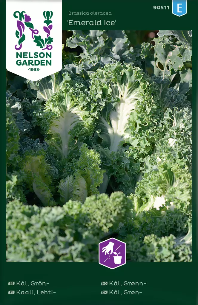 Lehtikaali 'Emerald Ice' siemen, Nelson Garden - Vihannesten siemenet - 7312600905115 - 1