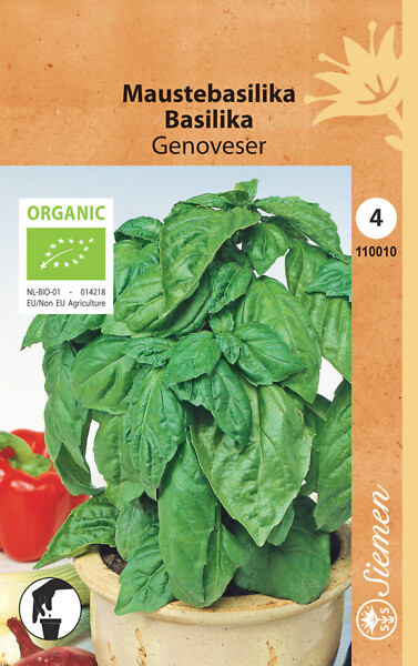 Maustebasilika `Genoveser` luomu, siemen, Schetelig - Annossiemenet - 6415151100105 - 1