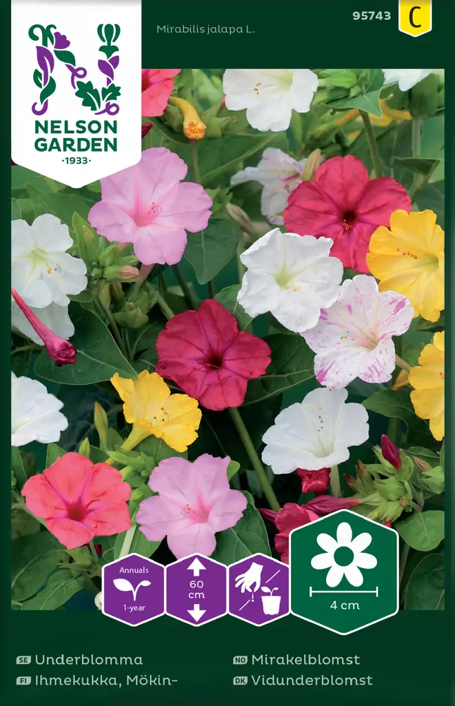 Mökinihmekukka, väriseos, siemen, Nelson Garden - Kukkien siemenet - 7312600957435 - 1