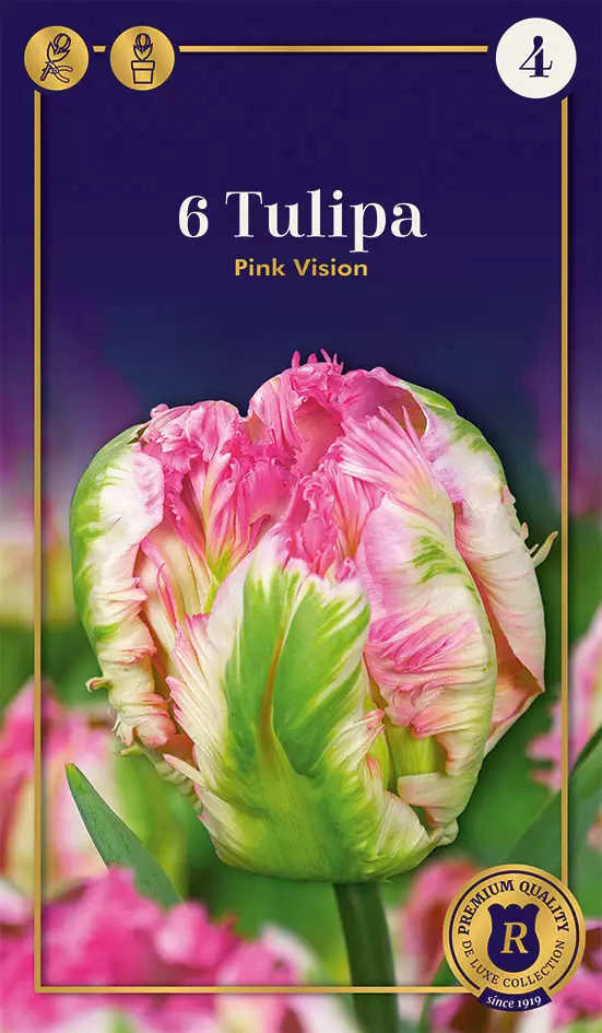 Papukaijatulppaani 'Pink Vision' 6 kpl - Syyssipulit - 8711148235255 - 1