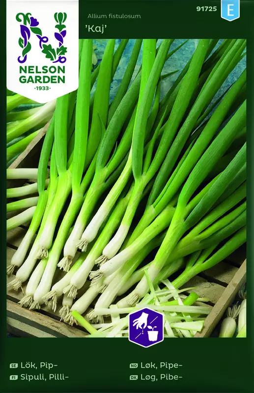 Pillisipuli 'Kaj' siemen, Nelson Garden - Vihannesten siemenet - 7312600917255 - 1