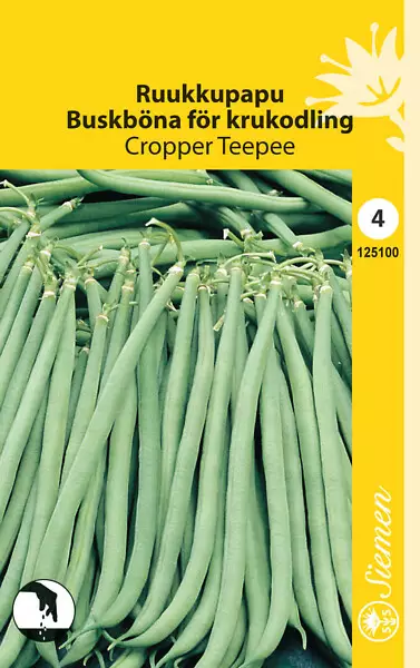 Ruukkupapu 'Cropper Teepee', siemen, Schetelig - Annossiemenet - 6415151251005 - 1