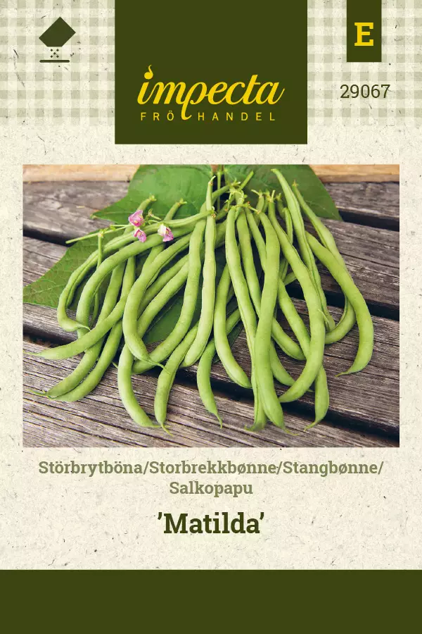 Salkopapu 'Matilda', siemen - Vihannesten siemenet - 7332756290675 - 1