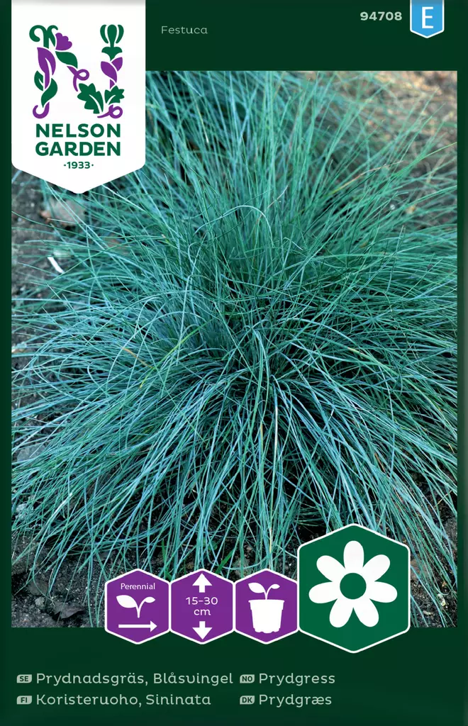 Sininata (koristeruoho) siemen, Nelson Garden - Kukkien siemenet - 7312600947085 - 1