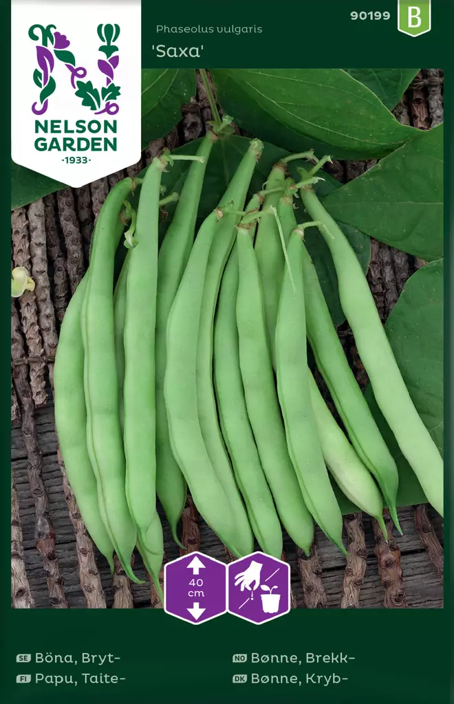 Taitepapu 'Saxa' siemen, Nelson Garden - Vihannesten siemenet - 7312600901995 - 1