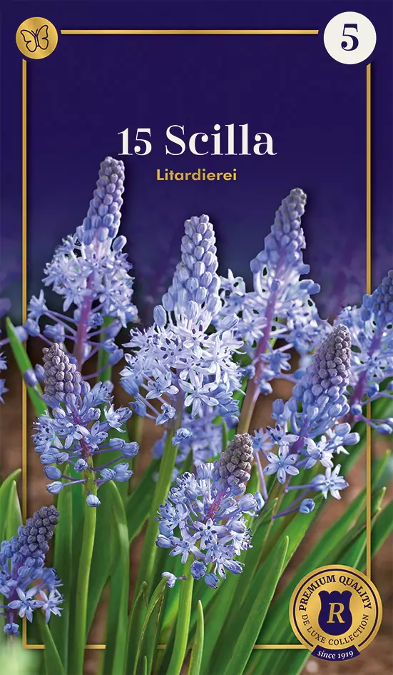 Unkarinsinililja 'Litardierei' 15 kpl - Kukkasipulit - 8711148308645 - 1