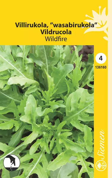 Villirukola 'Wildfire', siemen. Schetelig - Annossiemenet - 6415151361605 - 1