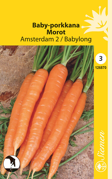 Baby-porkkana 'Amsterdam 2', siemen, Schetelig - Annossiemenet - 6415151268706 - 1