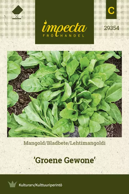 Lehtimangoldi 'Groene Gewone', siemen, Impecta - Vihannesten siemenet - 7332756293546 - 1