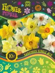 Flower Power Narsissisekoitus 10 kpl - Syyssipulit - 8711148241836 - 1