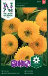 Isoauringonkukka 'Sungold' siemen, Nelson Garden - Kukkien siemenet - 7312600953246 - 1