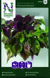 Isokirjopeippi 'Formula Mixture' siemen, Nelson Garden - Kukkien siemenet - 7312600942646 - 1