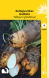 Keltajuurikas 'Yellow Cylindrical', siemen, Schetelig - Annossiemenet - 6415151306606 - 1