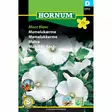 Kesämalvikki, Lavatera 'Mont Blanc', siemen, Hornum - Annossiemenet - 5708787017116 - 1